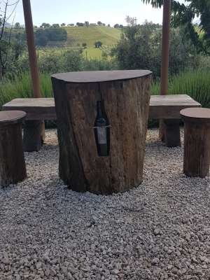 foto 9- particolare del vino incastonato in un tronco adibito a tavolino